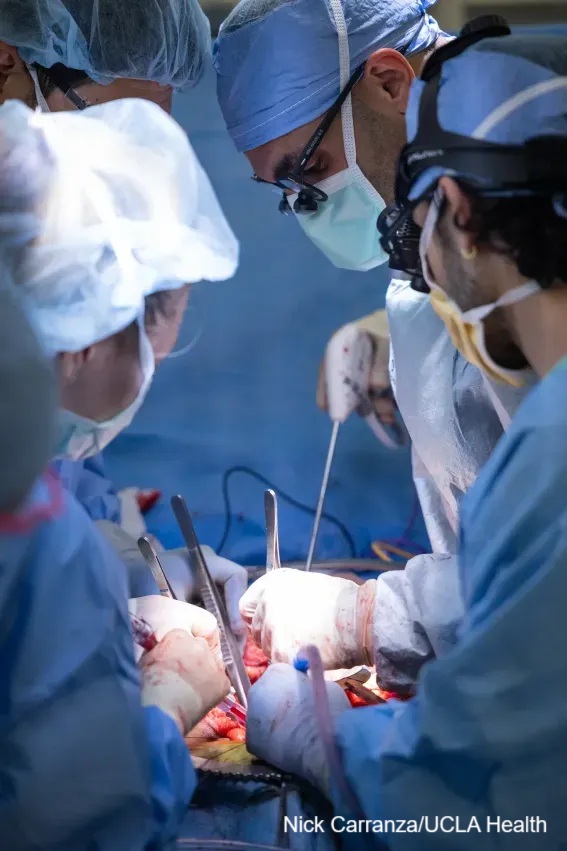 Primer trasplante exitoso de vejiga humana marca un hito en la medicina moderna